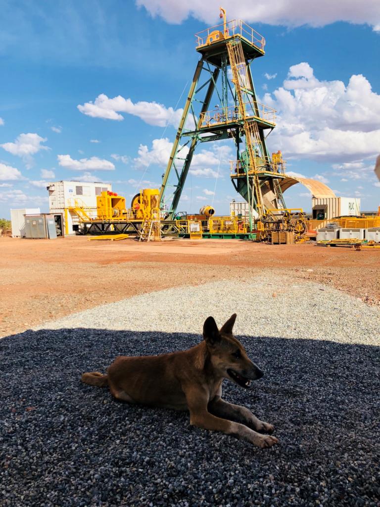 RUC Environment Dingo resting on ground near shaft mine TE2